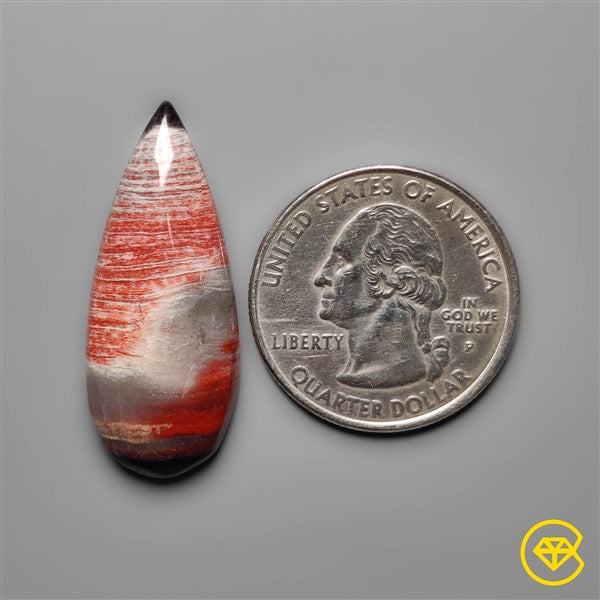 Snakeskin Jasper