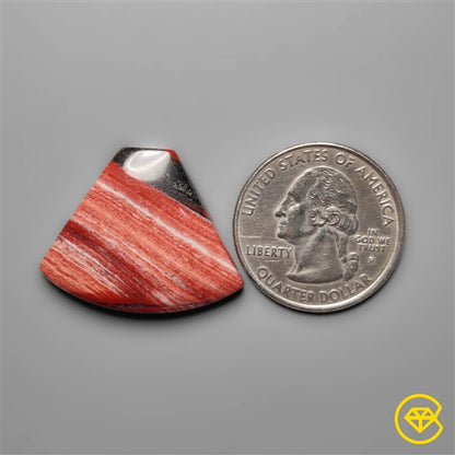 Snakeskin Jasper
