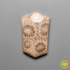 Fossil Coral