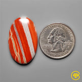 Snakeskin Jasper