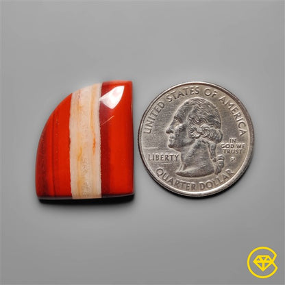 Snakeskin Jasper