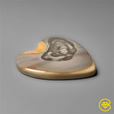 Imperial Jasper