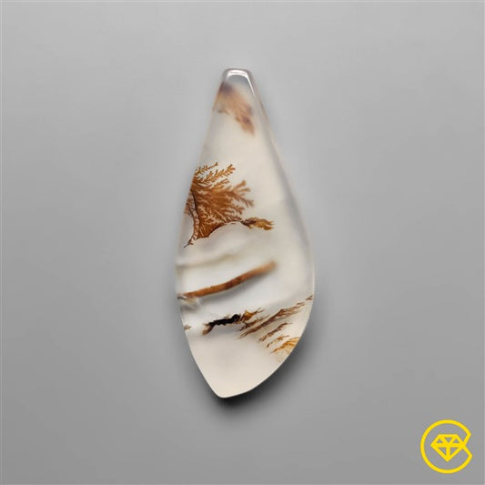 Scenic Agate