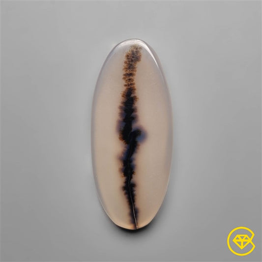 Scenic Agate
