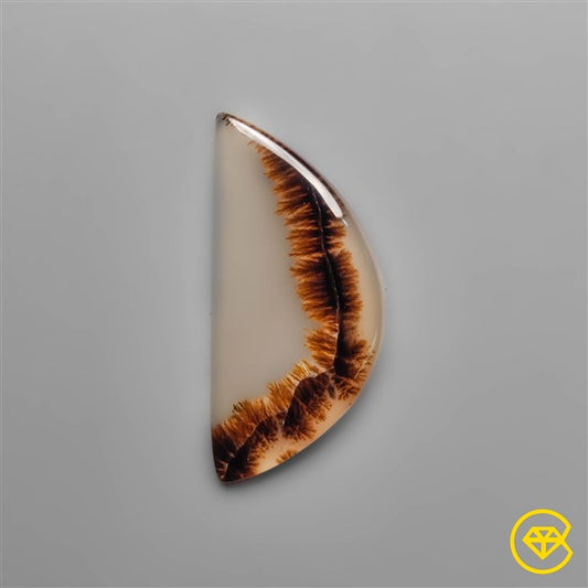 Scenic Agate