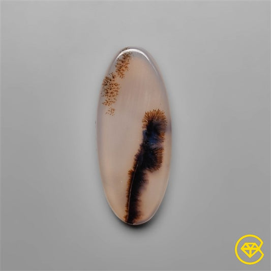 Scenic Agate