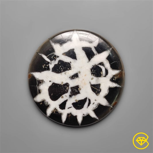 Septarian