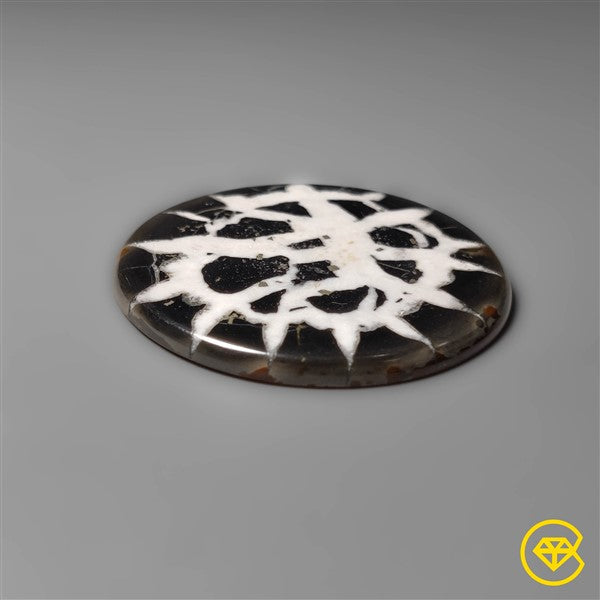 Septarian