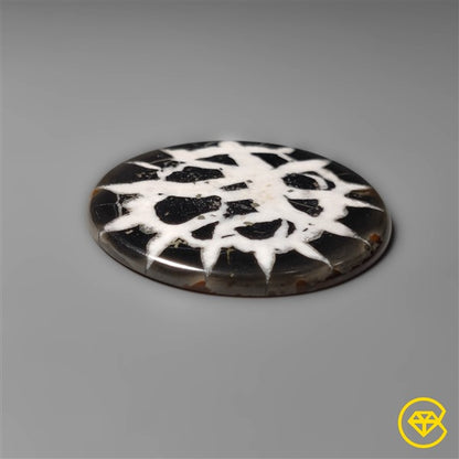 Septarian
