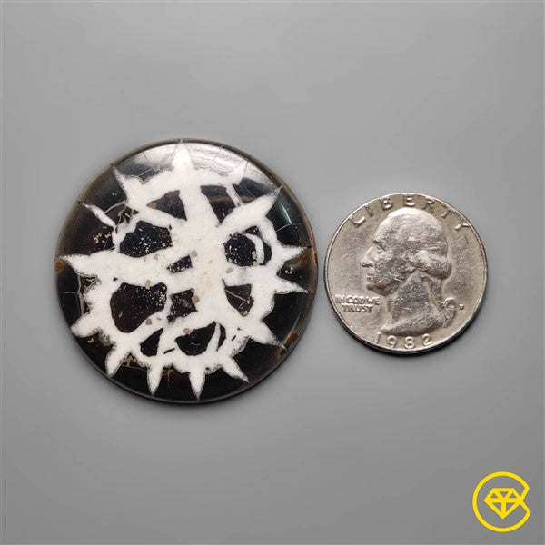 Septarian