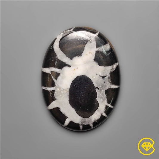 Septarian