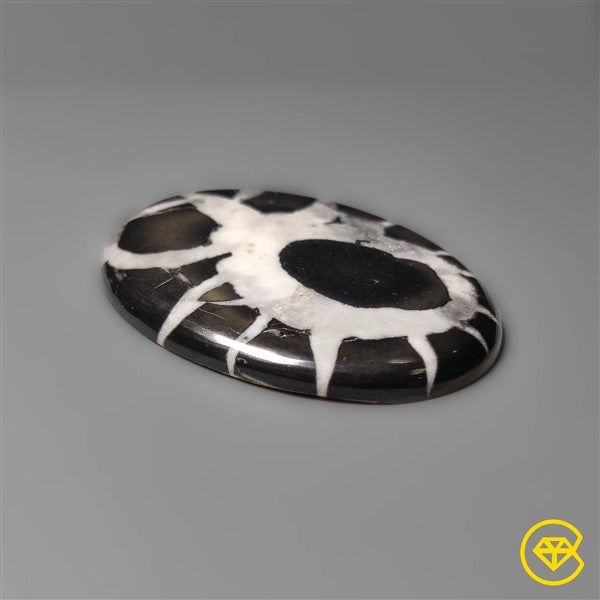 Septarian