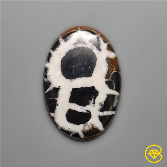 Septarian
