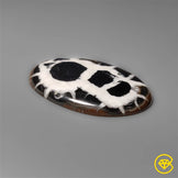 Septarian