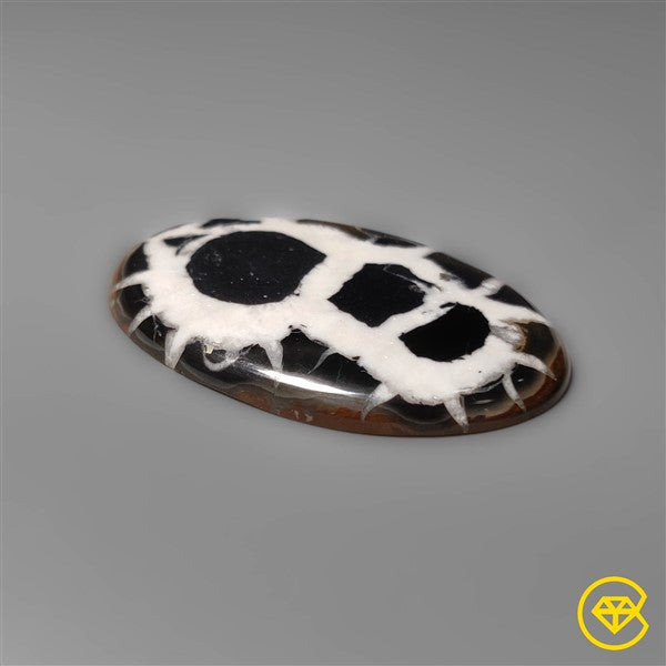 Septarian
