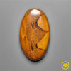 Tiger Eye