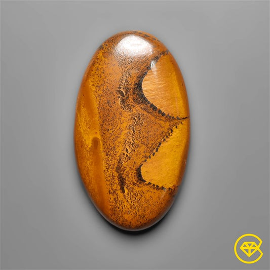 Tiger Eye
