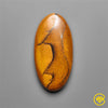 Tiger Eye