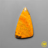 Bumble Bee Jasper