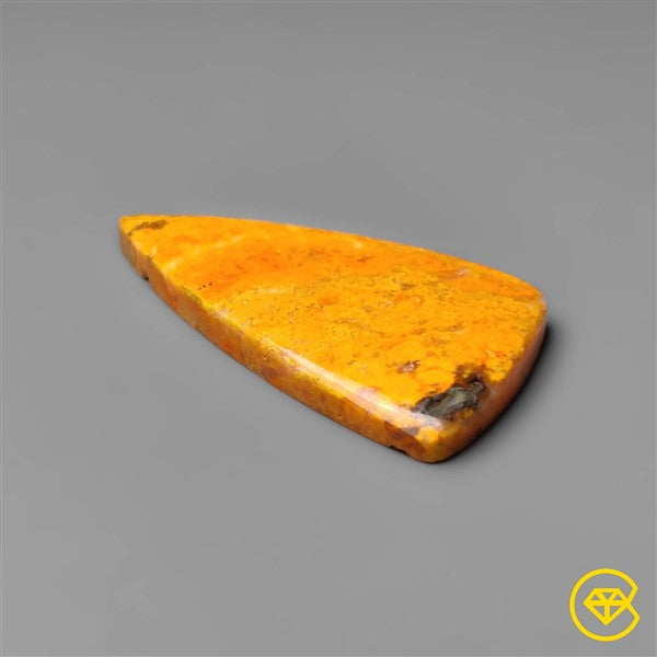 Bumble Bee Jasper