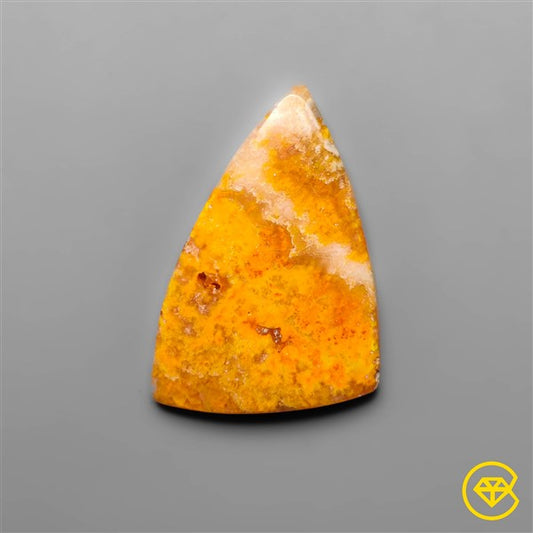 Bumble Bee Jasper