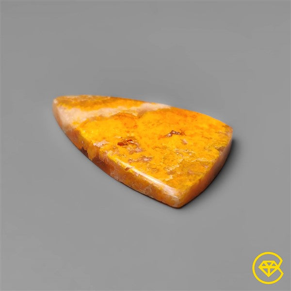 Bumble Bee Jasper
