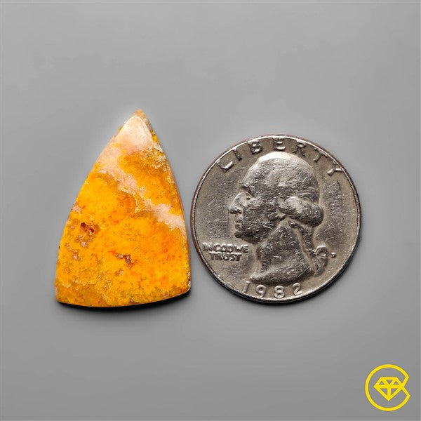 Bumble Bee Jasper