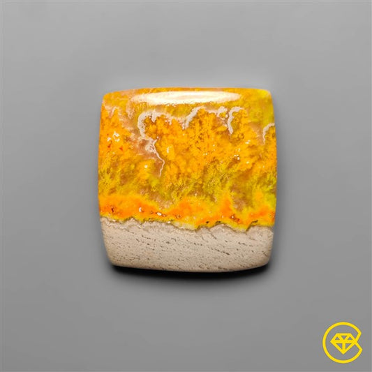 Bumble Bee Jasper