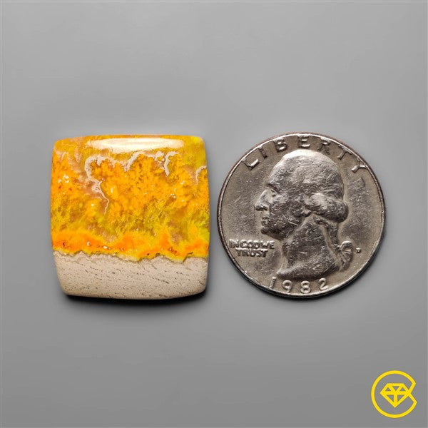 Bumble Bee Jasper