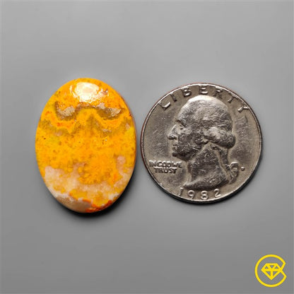 Bumble Bee Jasper
