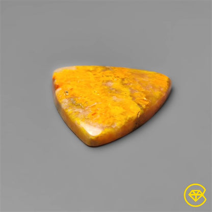 Bumble Bee Jasper