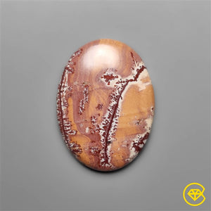 Sonoran Dendritic Rhyolite Cabochon