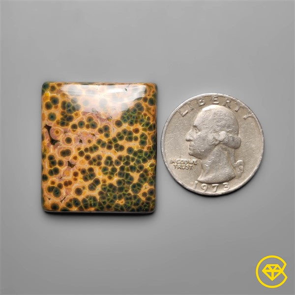 Ocean Jasper