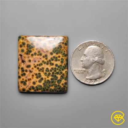 Ocean Jasper