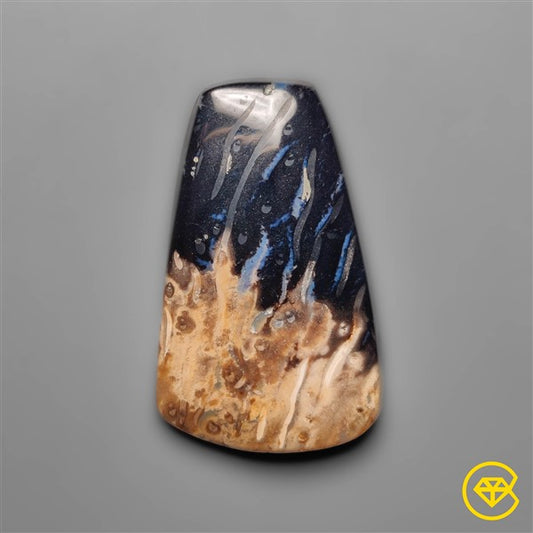 Palmroot Agate