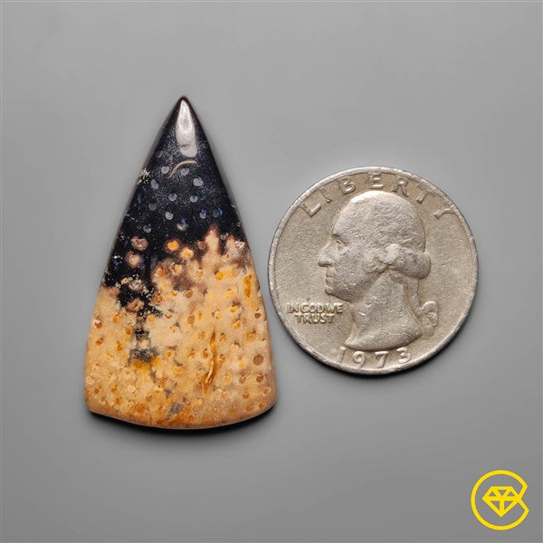 Palmroot Agate