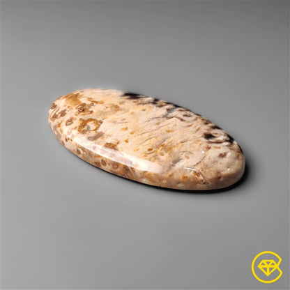 Palmroot Agate