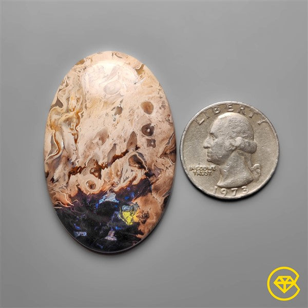 Palmroot Agate