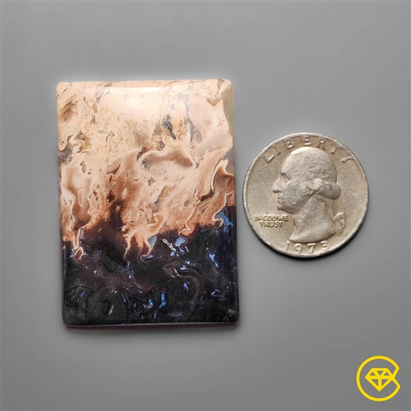 Palmroot Agate