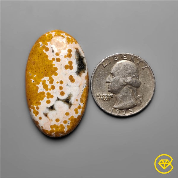 Ocean Jasper
