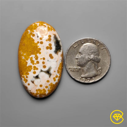 Ocean Jasper
