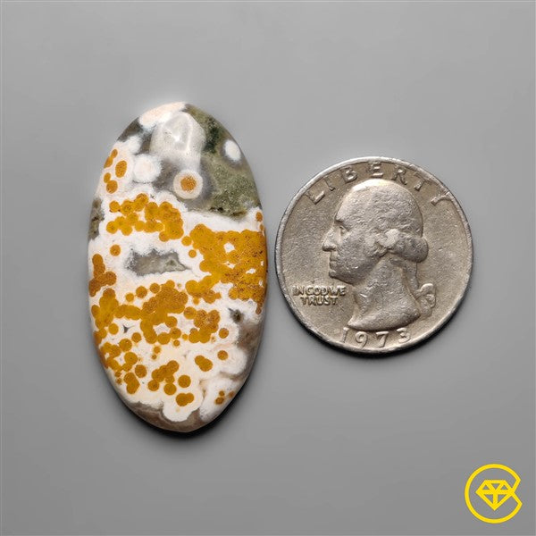 Ocean Jasper