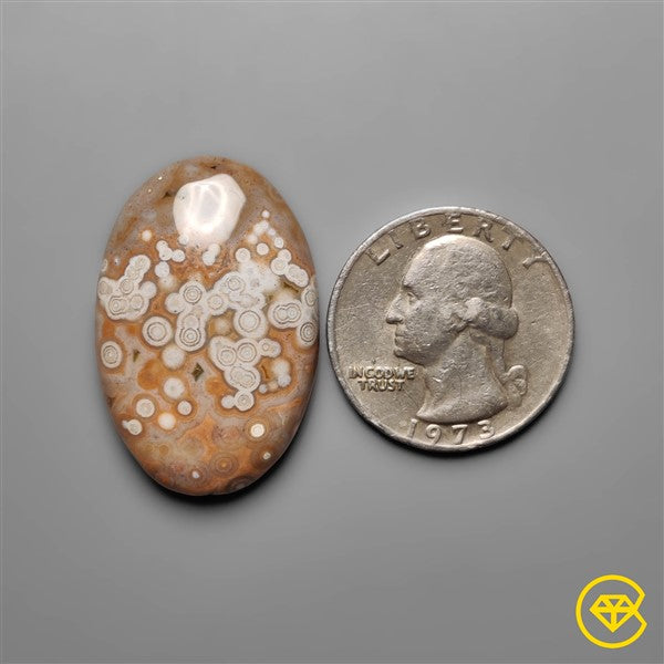 Ocean Jasper