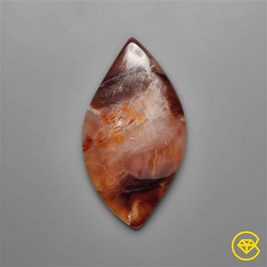 Arizona Petrified Opalwood