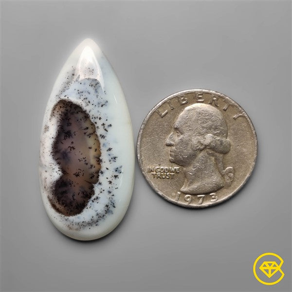Dendritic Agate