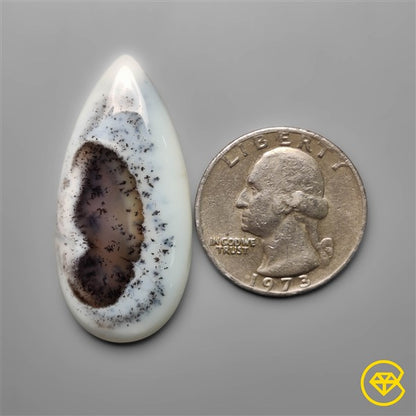 Dendritic Agate