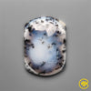 Dendritic Agate