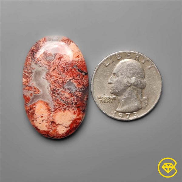 Snakeskin Jasper