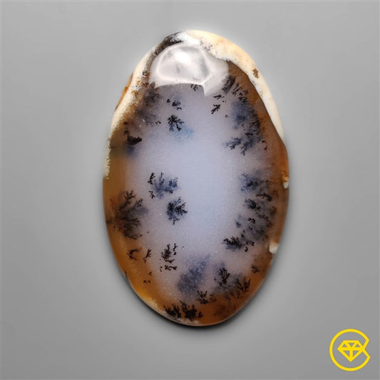 Dendritic Agate