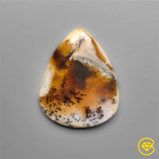 Dendritic Agate